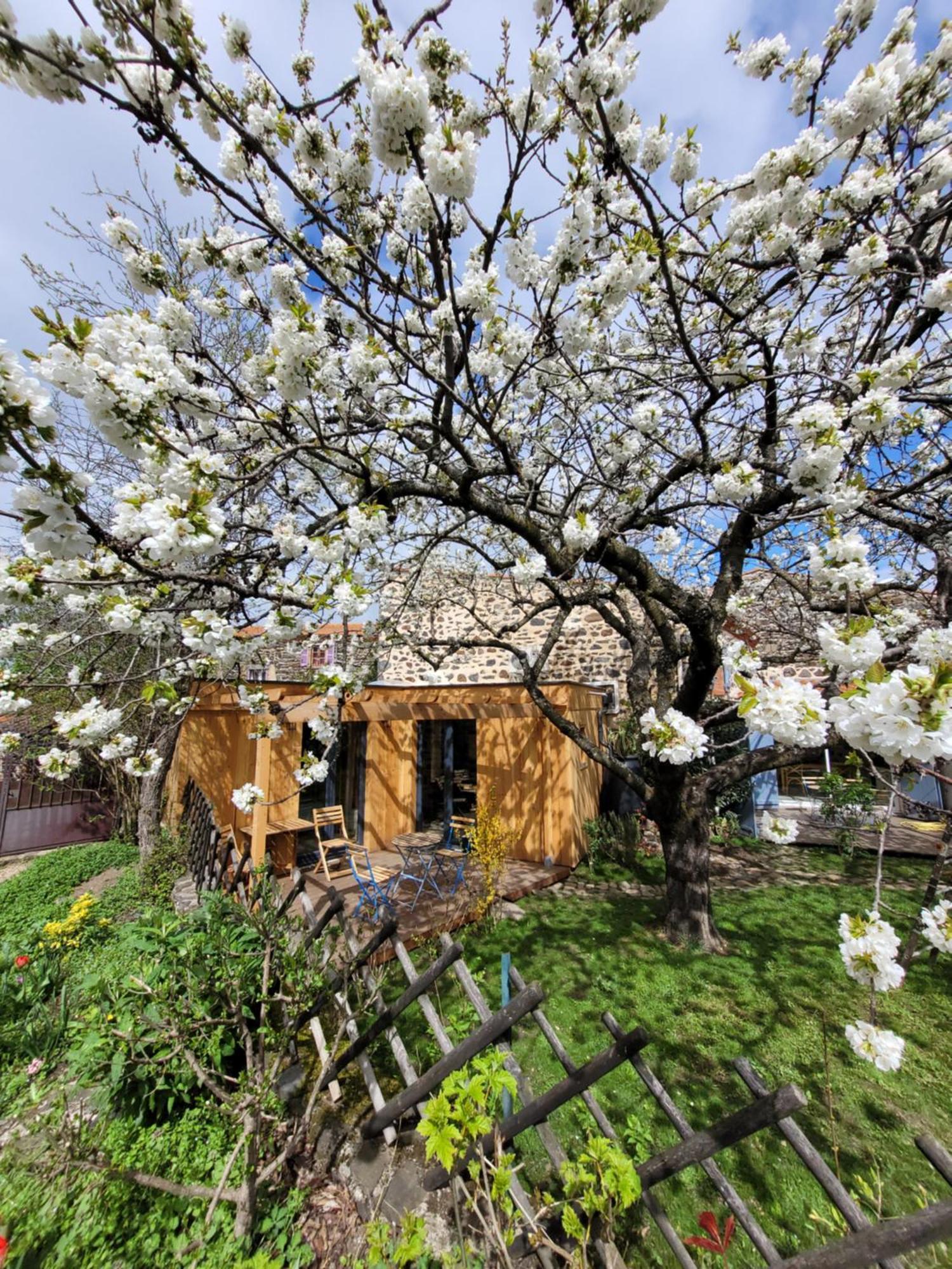 La Maisonnette Sous Le Cerisier Bergonne Екстериор снимка